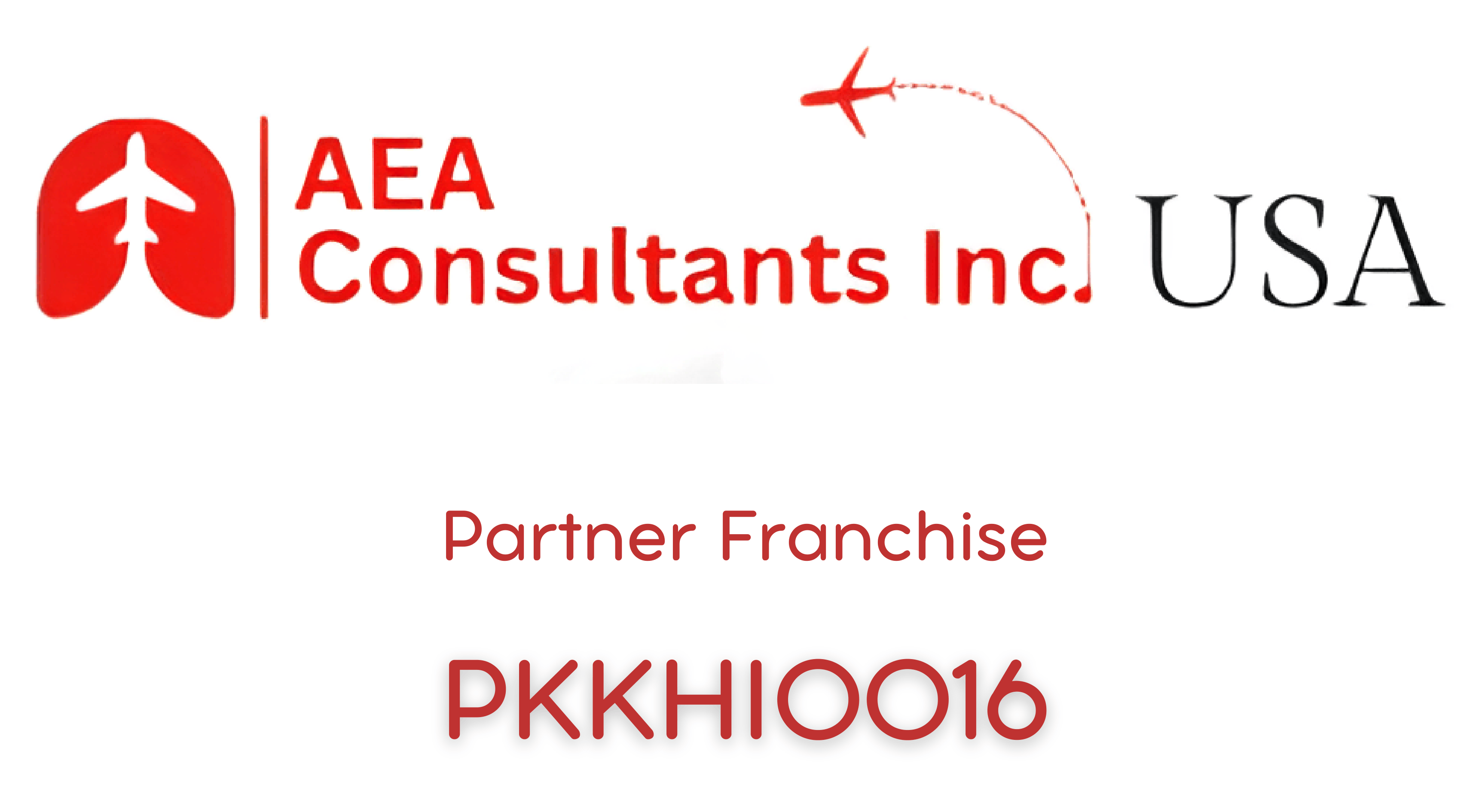 AEA Consultants Inc USA